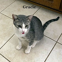 Thumbnail photo of Gracie #2