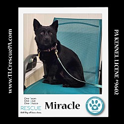 Thumbnail photo of Miracle 040624 #4