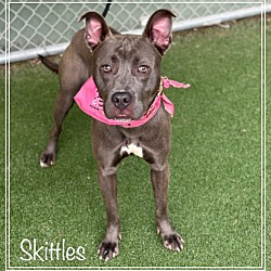 Thumbnail photo of SKITTLES #1