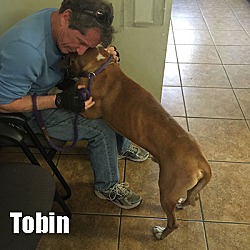 Thumbnail photo of Tobin #2