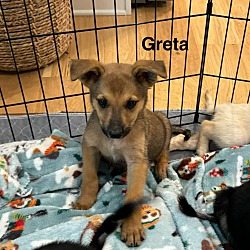 Thumbnail photo of GRETA🥰 #4