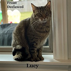 Thumbnail photo of Lucy #1
