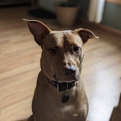 Photo of Chloe