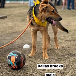 Thumbnail photo of Dallas Brooks #4