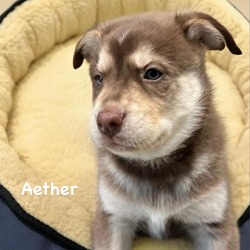 Thumbnail photo of Aether #1