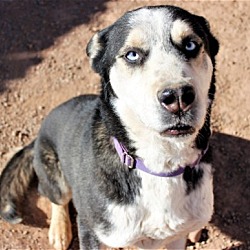 Thumbnail photo of Skipper #2