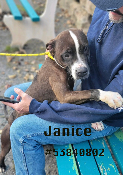 Photo of Janice
