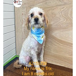 Thumbnail photo of Trix #1