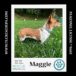 Thumbnail photo of Maggie 081724 #3