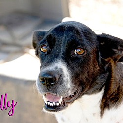 Thumbnail photo of Sally #2