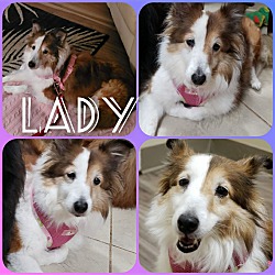 Photo of Lady