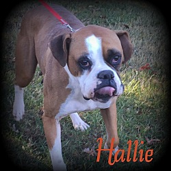 Thumbnail photo of Hallie #4