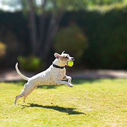 Thumbnail photo of Sally #3