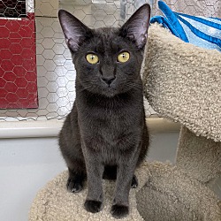 Thumbnail photo of Bert #1