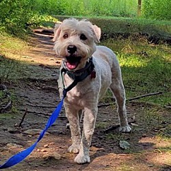 Photo of Maisy