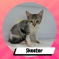 Thumbnail photo of Skeeter #1