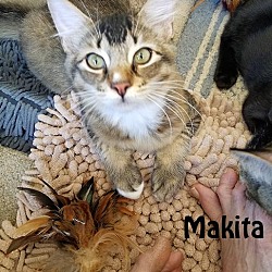 Thumbnail photo of Minky and Makita #1
