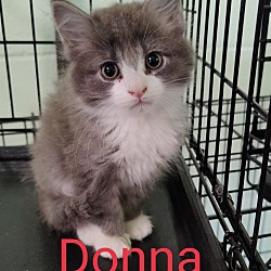 Photo of Donna