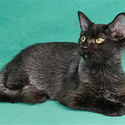 Photo of Sophie