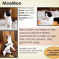 Thumbnail photo of Moo Moo #1
