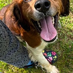 Photo of NC/Cooper