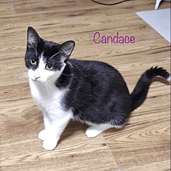 Photo of Candace
