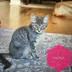 Photo of Mona