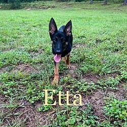Photo of Etta