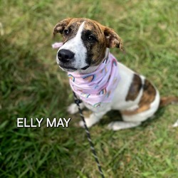 Thumbnail photo of Elly May #1