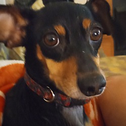 Photo of Darla