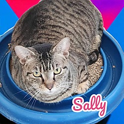 Photo of Sally