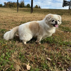 Photo of Precious 20126