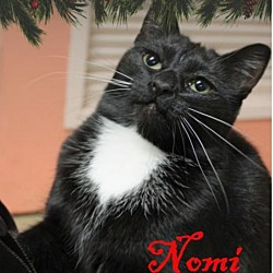 Thumbnail photo of Nomi #1