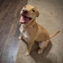 Photo of Penelope