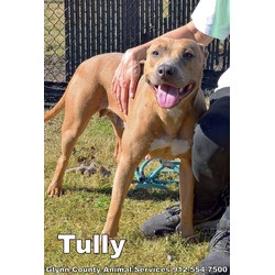 Photo of TULLY