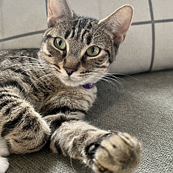 Thumbnail photo of Cat Middleton #4