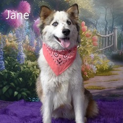 Photo of Jane