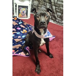 Photo of REX