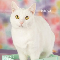 Photo of Bianca