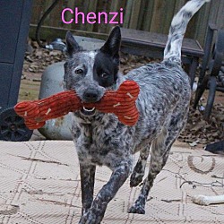 Photo of Chenzi