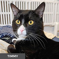 Thumbnail photo of Timmy #2