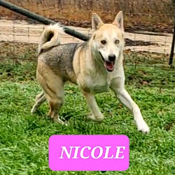 Photo of NICOLE