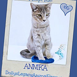 Thumbnail photo of ANNIKA #1