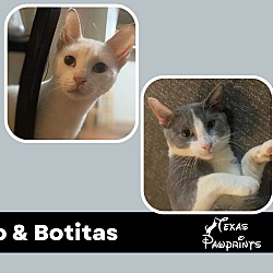 Thumbnail photo of Bonded Pair Gureo & Botitas #1