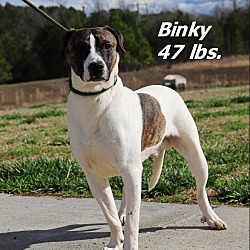 Photo of Binky