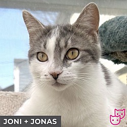 Photo of Joni (bonded with Jonas)