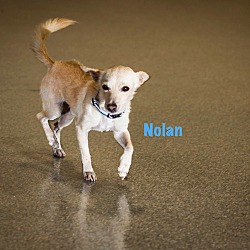Thumbnail photo of NOLAN #2