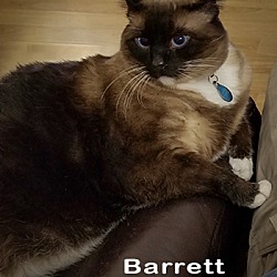 Thumbnail photo of Barrett (Pending) #2
