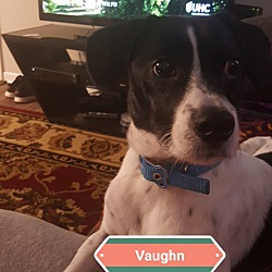 Photo of Vaughn