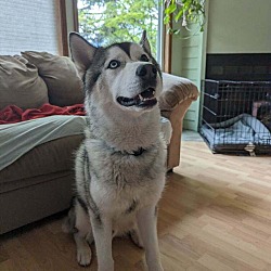 Photo of Blue